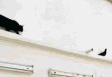 看什么看 瞧你那损塞样