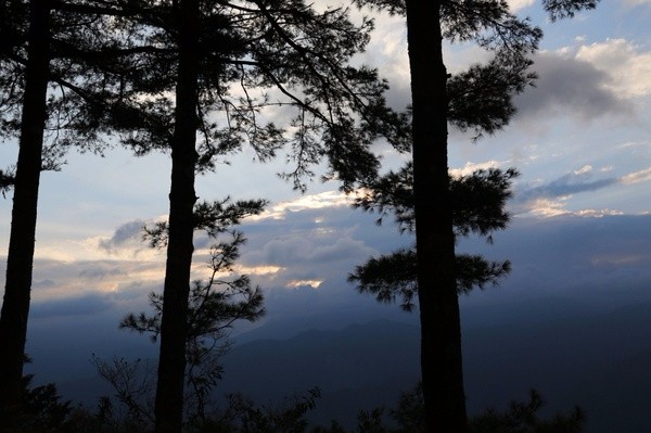 台湾：阿里山之云兴霞蔚与耀眼日出