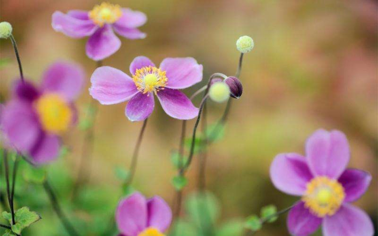 使自己强大的五种方法