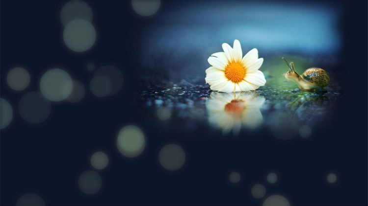 当你不想努力时，去趟医院就好了