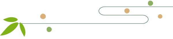 广西的这个小乡镇竟有结“龙船亲”的习俗