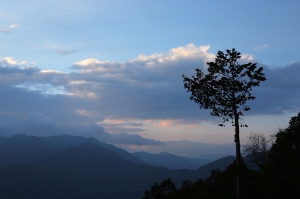 台湾：阿里山之云兴霞蔚与耀眼日出