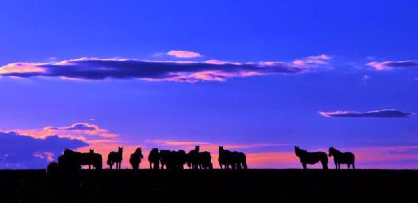 那些壮美的日出日落瞬间，亮瞎你的眼