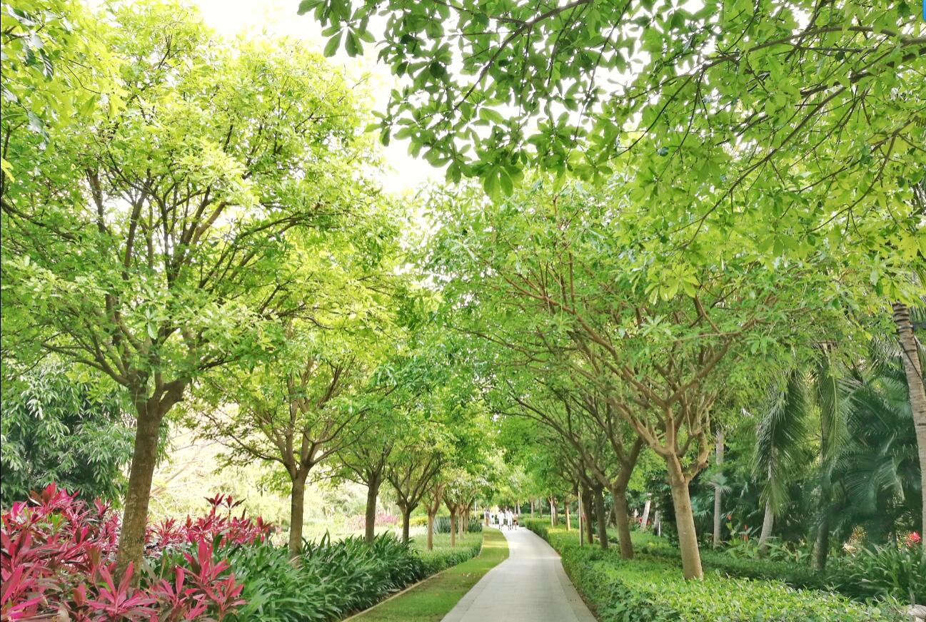 【海南玩法推荐】西线自驾之游昌江玩乐东