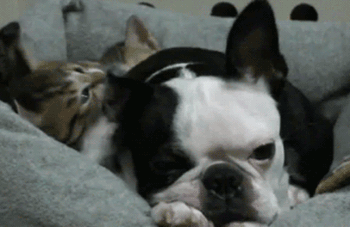 想起夕阳下那奔跑 那是我逝去的青春