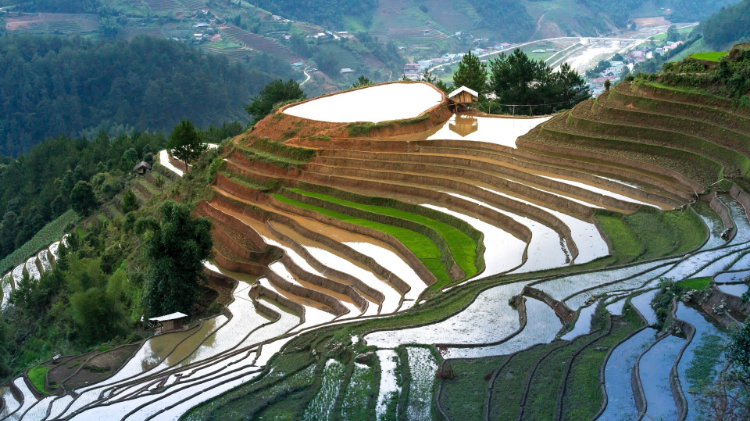 唯美护眼田园风景