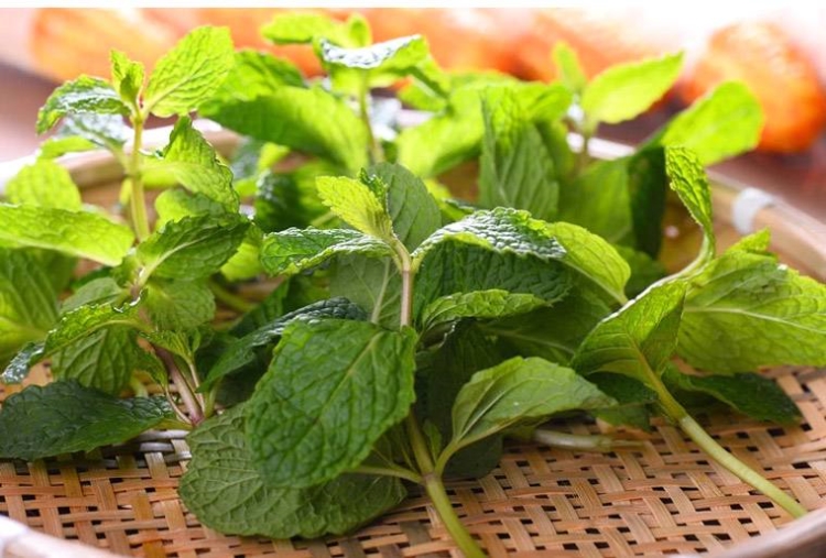 薄荷的功效与作用 缓解压力还清热