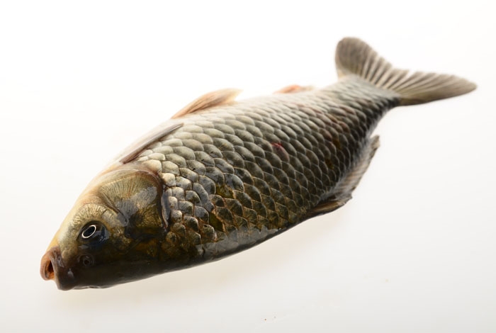 含碘高的食物有哪些