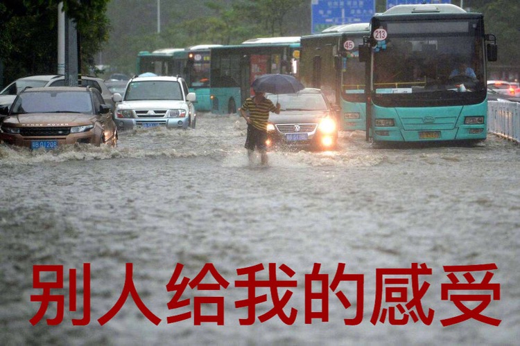 社交真的太难了！！