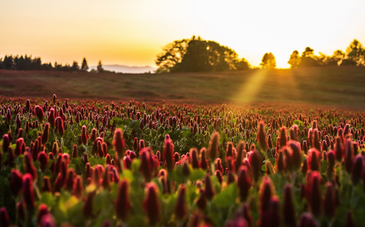 没有人是生来就无情的，都是经历并看到了太多自己不想看到的，而最终选择了关上自己的某扇门。 ​​​​