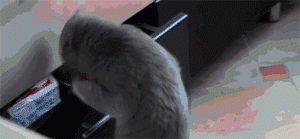 我才不害怕你呢！是尾巴它怕啦！