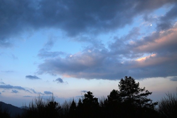 台湾：阿里山之云兴霞蔚与耀眼日出