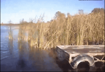 我才不害怕你呢！是尾巴它怕啦！