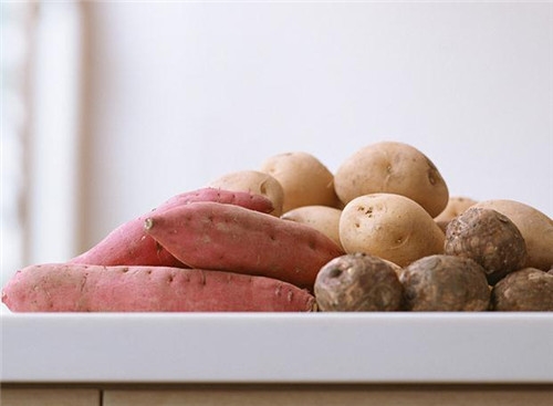 红薯苗的营养价值 红薯苗价格多少钱