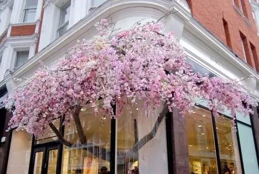 开一家这样的小店，和你一起慢慢变老