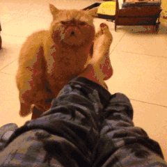 你吓到主子了，后果不堪设想