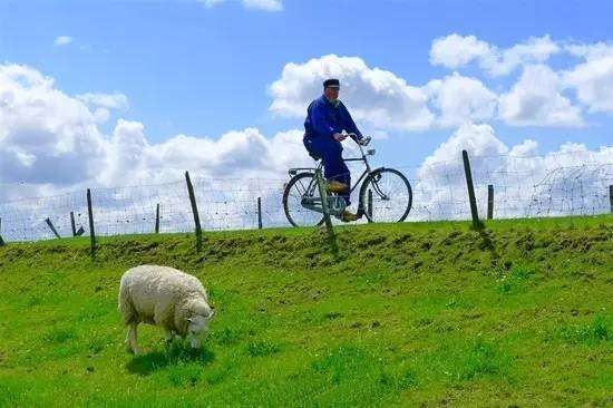 荷兰风车故事 是一首随风起舞的乡村民谣