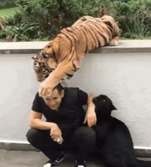 汪：就算你得到我的身体也得不到我的心