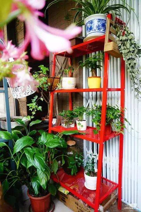 总觉得别人家的阳台美，今天就告诉你到底美在哪里