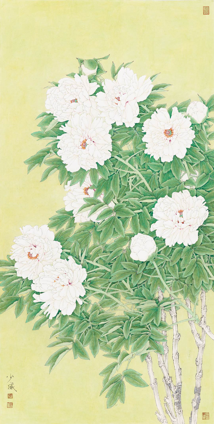 符号语言与情感表达