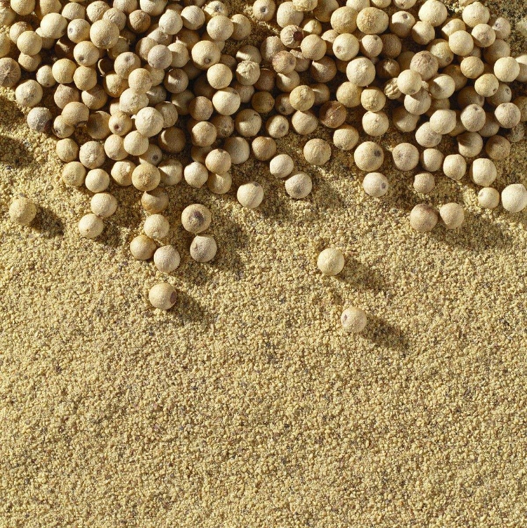 白胡椒的功效与作用 防治腹泻还消炎