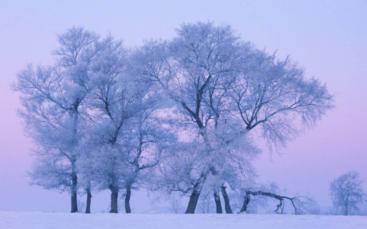 雾凇岛唯美雪景