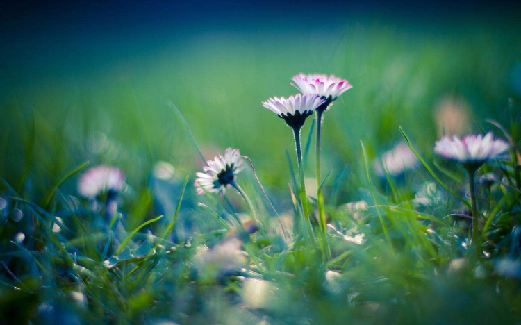 使自己强大的五种方法