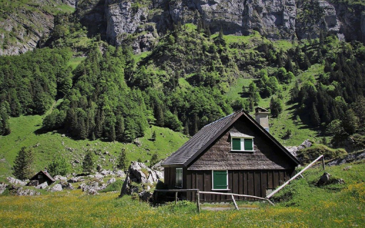 林间小屋唯美自然风景