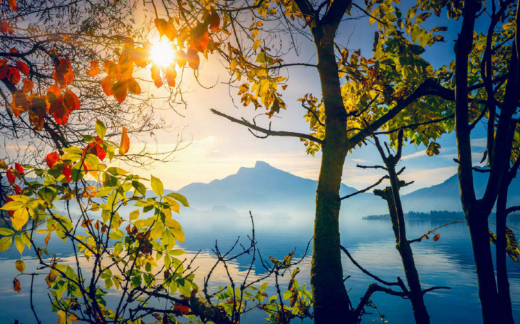 尼亚加拉大瀑布风景