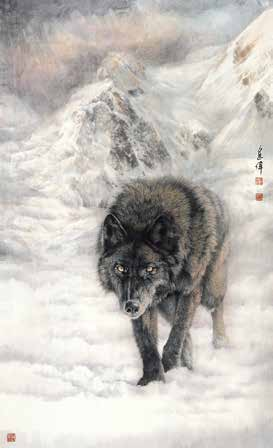 不惑人生 与狼共舞