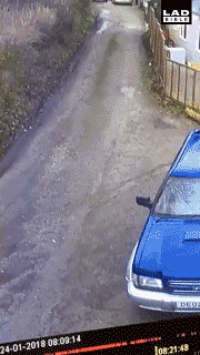 搞笑GIF：只要技术好，货车像超跑