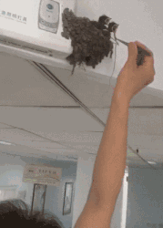 搞笑GIF：手机表示看不下去了