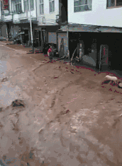 搞笑GIF：遇到这样的媳妇，我真的被感动哭了