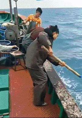 搞笑GIF：这一脚下去，感觉这位小哥肯定是一脸懵圈