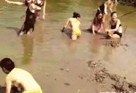 搞笑gif：万花丛中一点绿