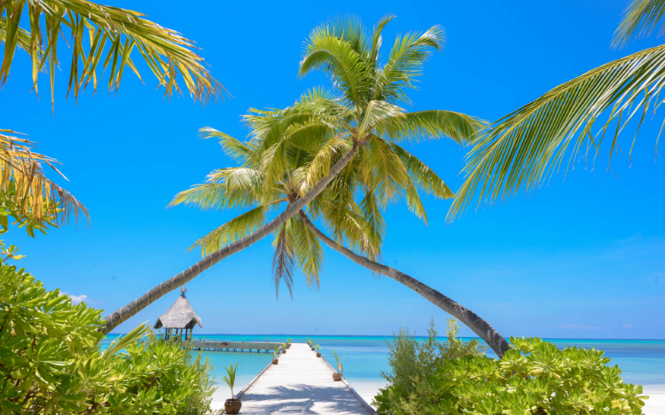 超美蓝色海滨风景