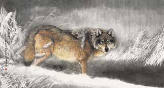 不惑人生 与狼共舞