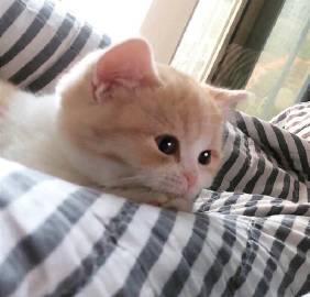 无法抵抗的可爱瞬间?