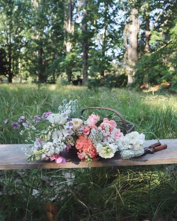 “六月初夏，所见所想都是尘世间的美好。”