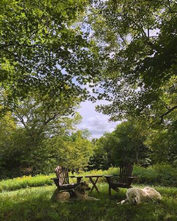 想办法努力赚钱 而不是费尽心思努力省钱 再愤怒也不要大吼大叫 时刻保持冷静 结交有趣的人 做有趣的事.