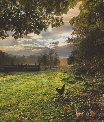 理想中的田园生活