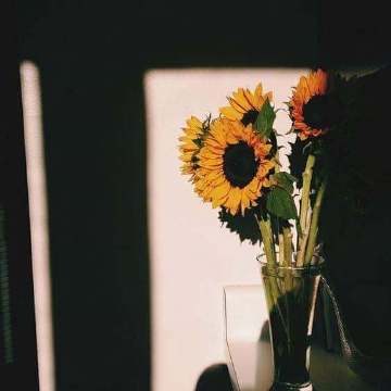 真正属于你的爱情不会叫你痛苦 爱你的人不会叫你患得患失 凡觉得辛苦的事 都是强求.