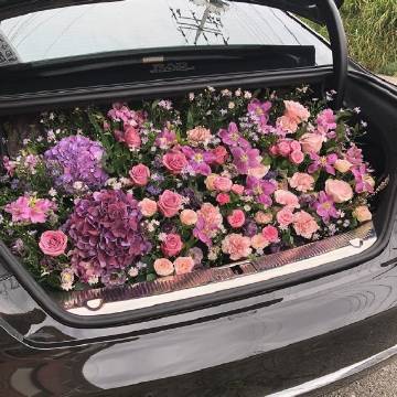 生活明朗 万物可爱