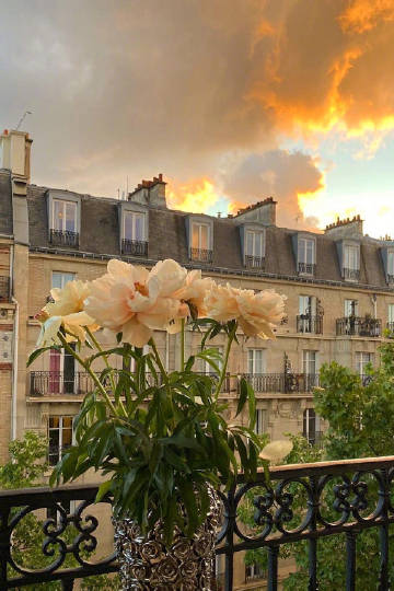 Good Morning,Have a Nice Day.???????