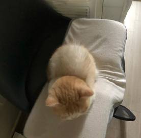 无法抵抗的可爱瞬间?