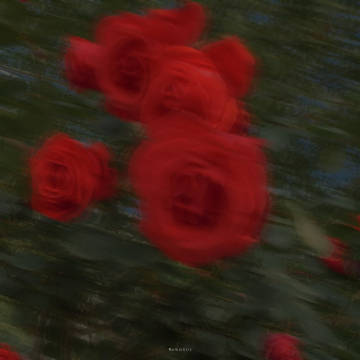 我留一束花在海边  托海水帮我寄给你