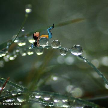 插画师Vimal Chandran笔下的治愈插画