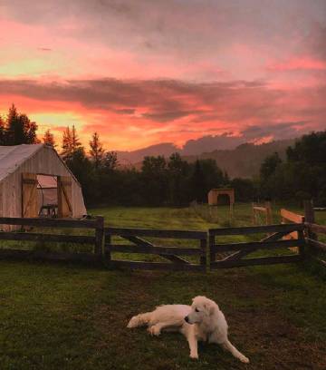 人生苦短，请停止与自己作对。——亦舒