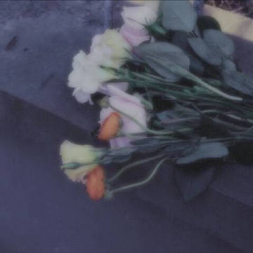 一生所求，爱与自由，你与温柔。