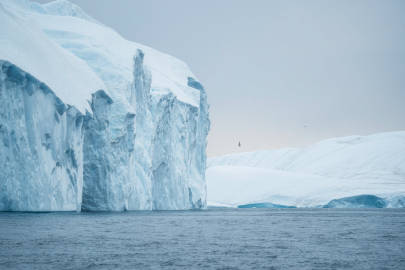 格陵兰岛的冰山 | Christian Hoiberg